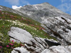 Giglach 2187 2006-07-10.jpg