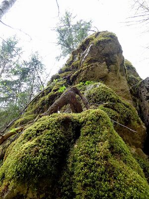 Humlechnergraben 54664 2014-04-27.JPG