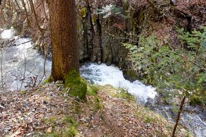 Mühlbach lessern-0318-2023-04-22.jpg