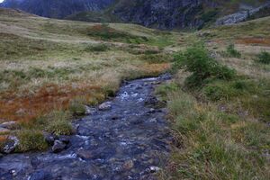 Neualmbach beim roßboden 72688 2014-09-17.JPG