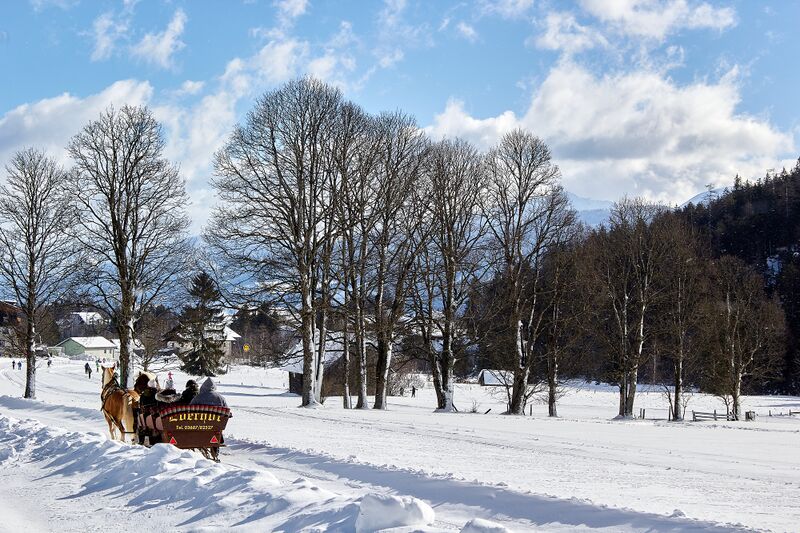 Datei:Pferdeschlitten ramsau-0012-2023-02-05.jpg