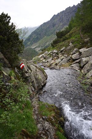 Schimpelbach 1436 13-06-27.jpg