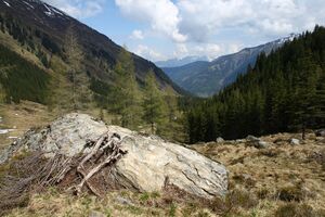 Strickerkar 55670 2014-05-02.jpg