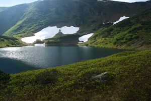 Untere riednersee 65406 2014-06-26.jpg