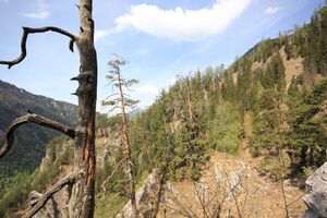 Wasserlochklamm palfau 70470 2018-04-23.jpg