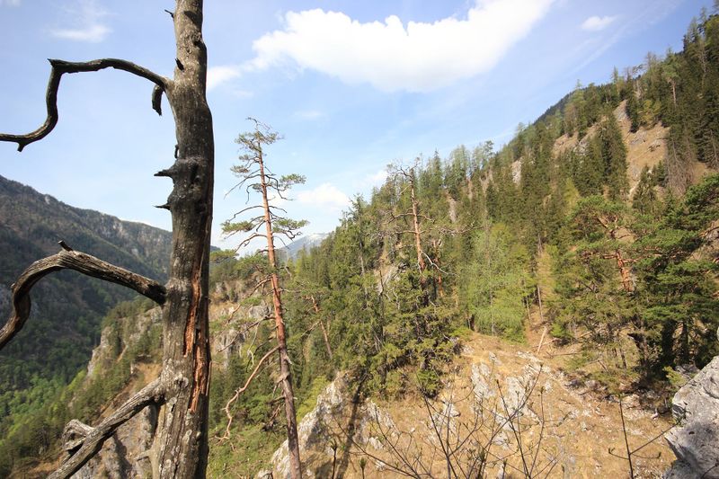 Datei:Wasserlochklamm palfau 70470 2018-04-23.jpg