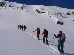 Wildkar 2614 2007-03-11.jpg