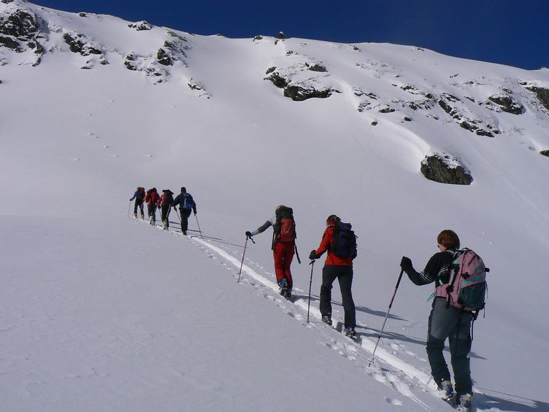 Datei:Wildkar 2614 2007-03-11.jpg