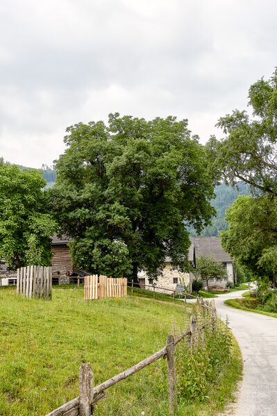 Datei:BH raml wieden-0634-2023-06-16.jpg