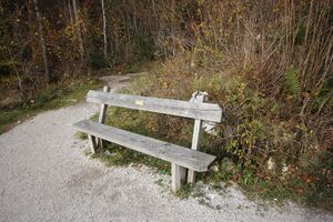 Bank marlene altaussee-3101-2018-11-01.jpg