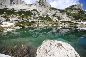Dreibrüdersee 77425 2018-06-04.jpg