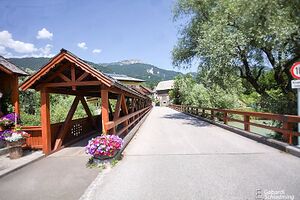 Ennsbrücke aich 7873.jpg