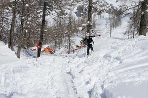 Hubsi-Lauf 2015-77191 n.jpg