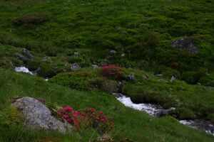 Katschbach-katschtal 92300 2015-06-18.jpg