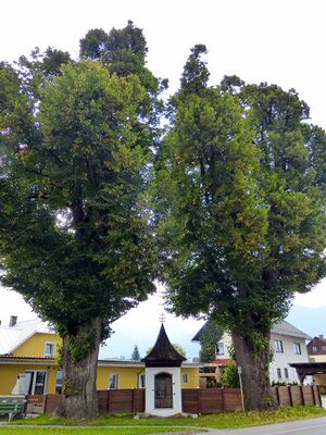 Kettinger Kreuz260148.JPG