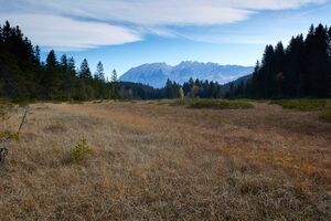 Knoppenmoos pichl-0278-2021-10-30.jpg