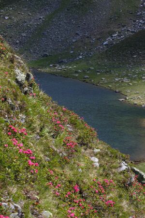 Oberer Giglachsee 0751 2011-06-22.jpg