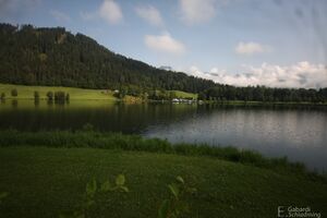 Putterersee 7874.jpg