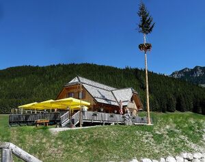 Sportalm Kaiserau40464.JPG