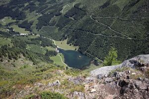 Steir.bodensee -labeck 49494 2017-06-09.jpg