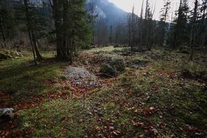 Altaussee seewiese 79061 2014-11-15.jpg