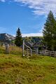 Bärenfeichtenalm-3212-2021-08-03.jpg