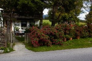 BH Lukas-0158-2022-09-07.jpg