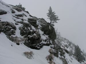 Gamsfeld pietrach 48003 2007-02-01.jpg