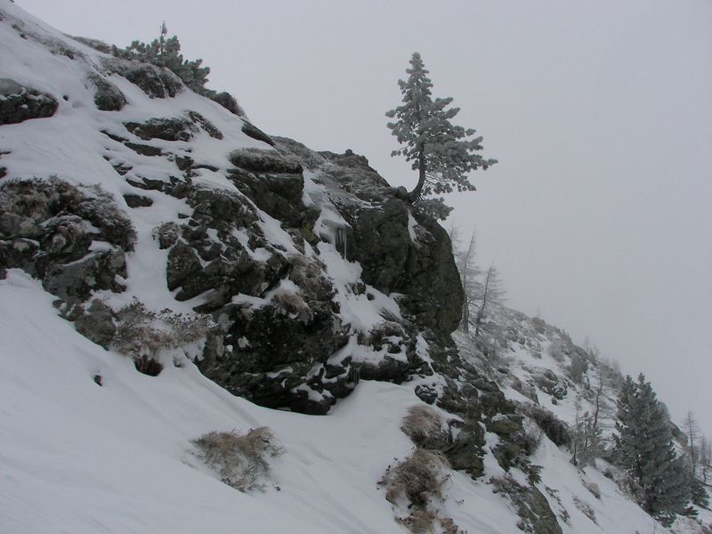 Datei:Gamsfeld pietrach 48003 2007-02-01.jpg