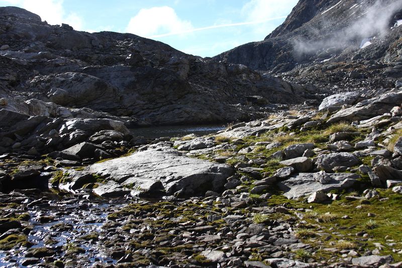 Datei:Goldlacken 0254 2013-10-08.jpg