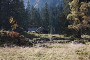 Grafenalm kleinsölk 74440 2014-10-07.jpg
