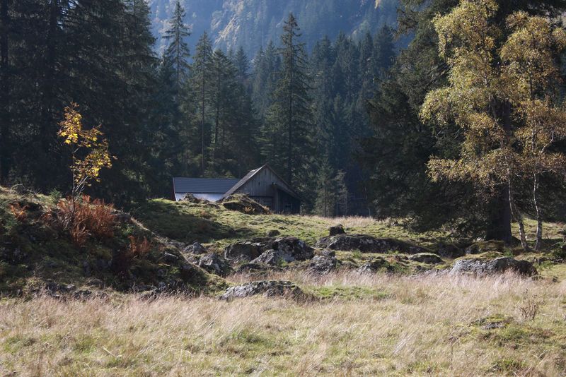 Datei:Grafenalm kleinsölk 74440 2014-10-07.jpg