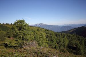 Gumpenkar 53226 2017-07-05.jpg