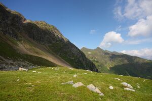 Herzmaierkar 32513 2011-07-06.jpg