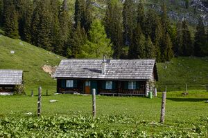 Hintereggalm-0407-2022-05-18.jpg