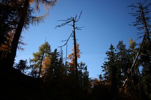 Hochknall 10925 2015-10-27.jpg