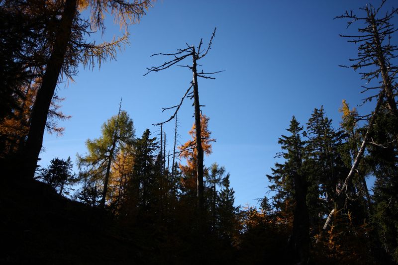 Datei:Hochknall 10925 2015-10-27.jpg