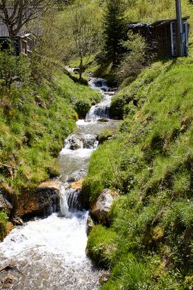 Kirchdorfbach lassing-300342-2023-05-04.jpg