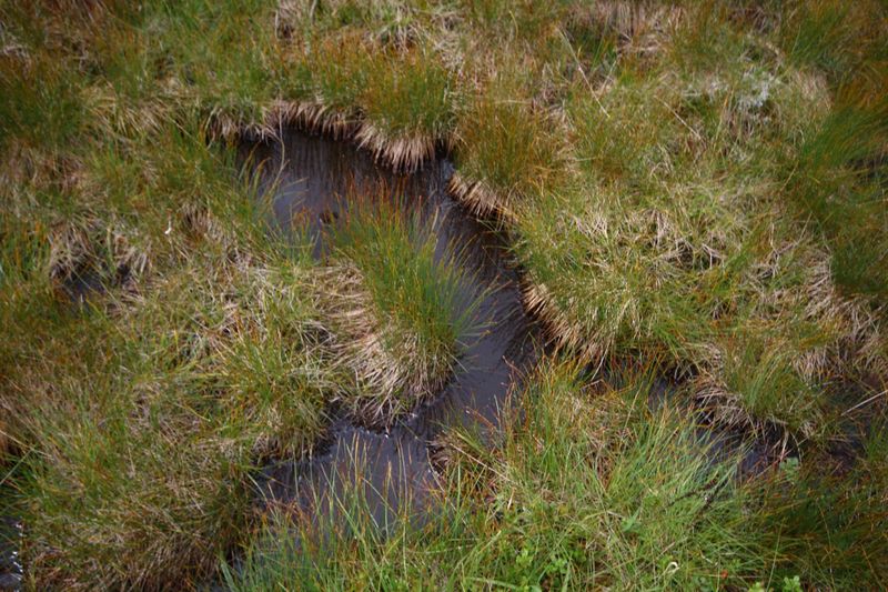 Datei:Knallkar großsölk 55654 2016-08-17.jpg