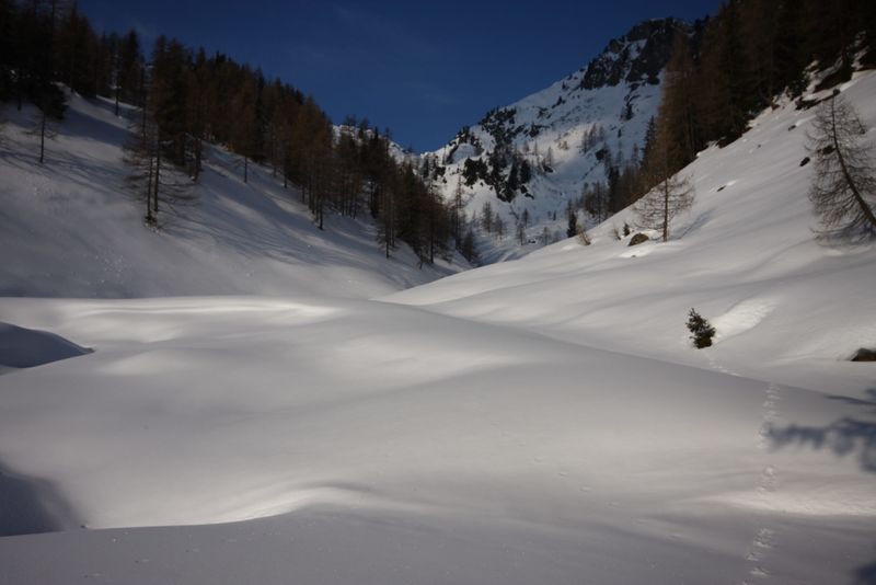 Datei:Moseralm-preunegg 82828 2015-03-15.jpg