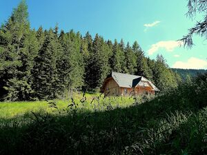 Nocheralm1190691.JPG