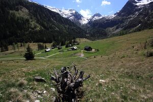 Sattental 45953 2017-05-19.jpg