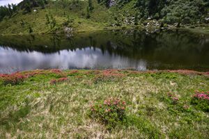 Schobersee 93226 2015-06-26.jpg