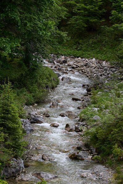 Datei:Stubenbach gnanitz-0223-2024-06-05.jpg
