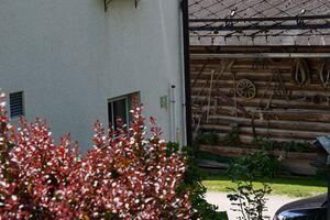 Vlg. weikl altlassing-0243-2023-06-14.jpg