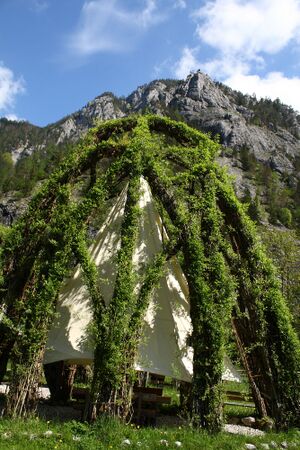 Weidendom gesäuse 56970 2014-05-05.jpg