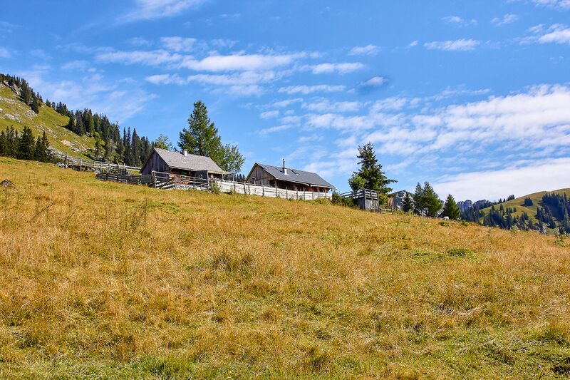 Datei:Bärenfeichtenalm-3116-2021-08-03.jpg