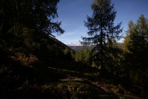 Bei der kammalm 40629 2012-10-05.jpg