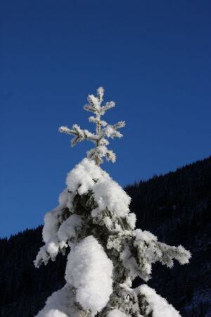 Bodensee 26595 2014-01-01.jpg