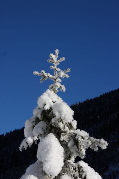 Datei:Bodensee 26595 2014-01-01.jpg